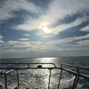 tarrah36